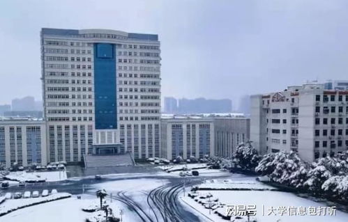 武漢輕工大學王牌專業(yè)有哪些 這個就很好