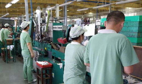 廣州輕工集團(tuán) 以創(chuàng)新驅(qū)動高質(zhì)量發(fā)展，譜寫輕工業(yè)新篇章