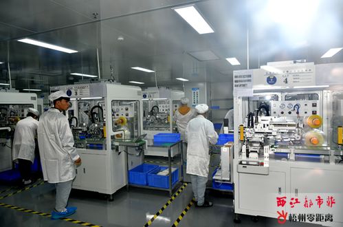 科技企業(yè)奮楫第四季度 電子產(chǎn)品技術(shù)開發(fā)的新機(jī)遇與挑戰(zhàn)